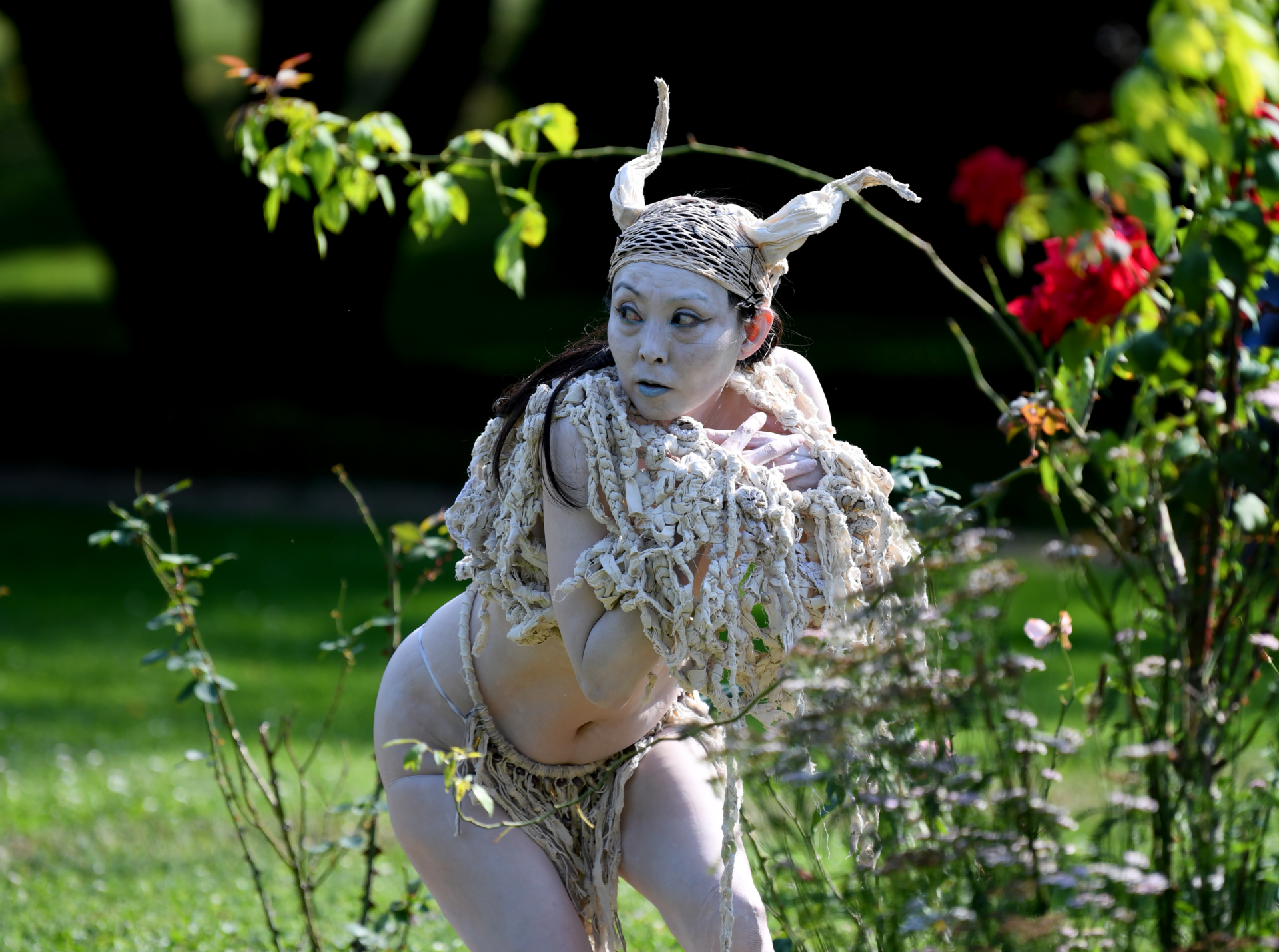 Performance image from Landscaper